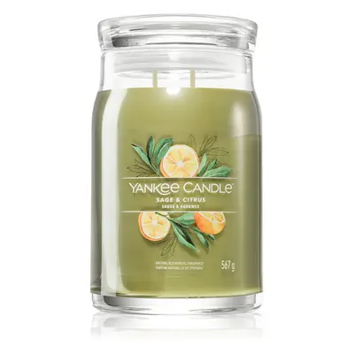 Yankee Candle Sage & Citrus illatgyertya Signature 567 g