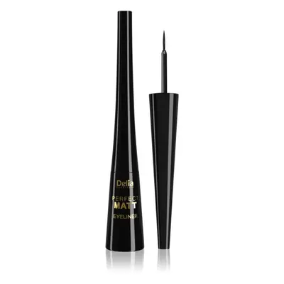 Delia Cosmetics Perfect Matt Shape Master szemhéjtus matt hatással árnyalat Black 4 ml