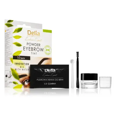 Delia Cosmetics Eyebrow Expert tonizáló szemöldökfesték árnyalat 1.0 Black 4 g