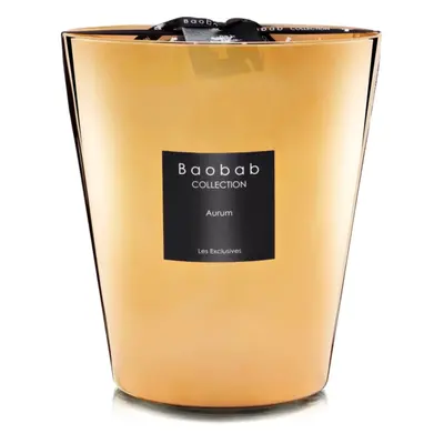 Baobab Collection Les Exclusives Aurum illatgyertya 16 cm