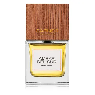 Carner Barcelona Ambar Del Sur Eau de Parfum unisex 100 ml