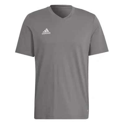 adidas ENT22 TEE Férfi póló, szürke, méret