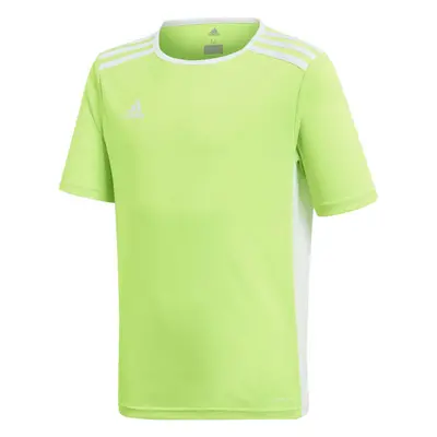 adidas ENTRADA JSYY Fiú futball mez, világoszöld, méret