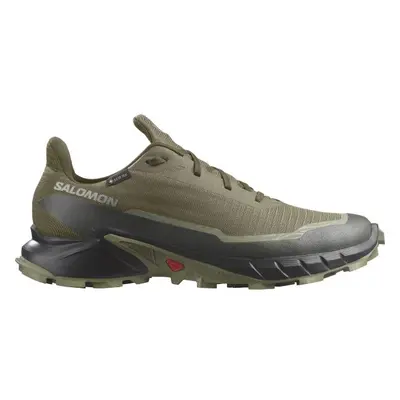 Salomon ALPHACROSS GTX Férfi túracipő, sötétzöld, méret 2/3