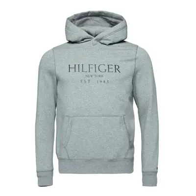 Tommy Hilfiger BIG HILFIGER HOODY Férfi pulóver, szürke, méret