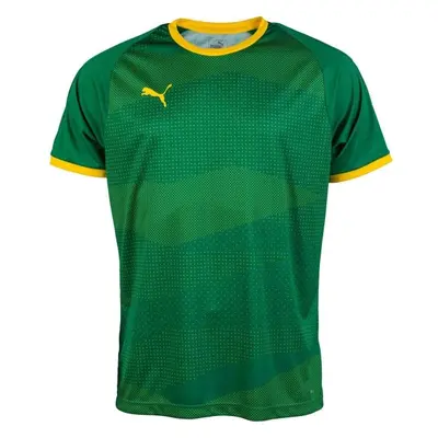 Puma KC LIGA JERSEY GRAPHIC Férfi futballmez, zöld, méret