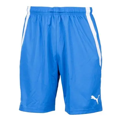 Puma TEAM LIGA SHORTS Férfi rövidnadrág, kék, méret