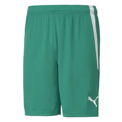 Puma TEAM LIGA SHORTS Férfi rövidnadrág, zöld, méret