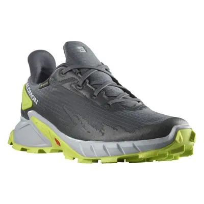 Salomon ALPHACROSS GTX Férfi túracipő, szürke, méret