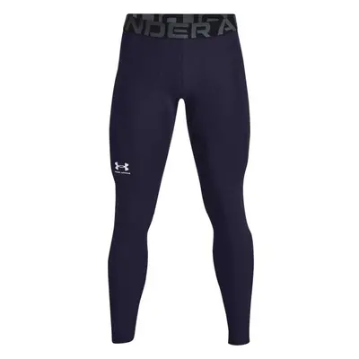 Under Armour HG ARMOUR LEGGINGS Férfi legging, sötétkék, méret