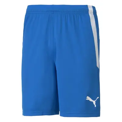 Puma TEAM LIGA SHORTS Férfi rövidnadrág, kék, méret