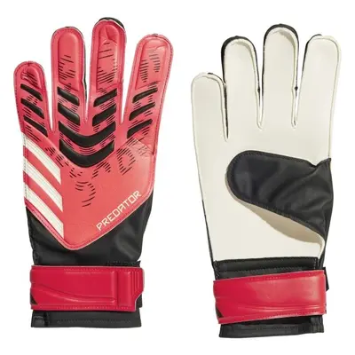 adidas PREDATOR TRAINING Férfi kapuskesztyű, piros, méret