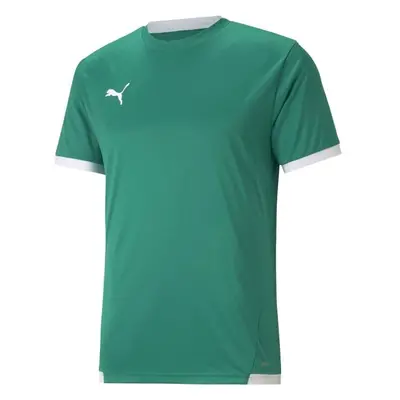 Puma TEAM LIGA JERSEY Férfi futballpóló, zöld, méret