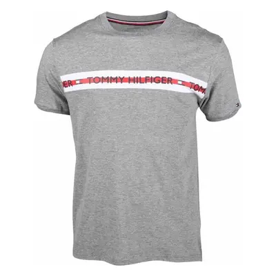 Tommy Hilfiger CN SS TEE LOGO Férfi póló, szürke, méret