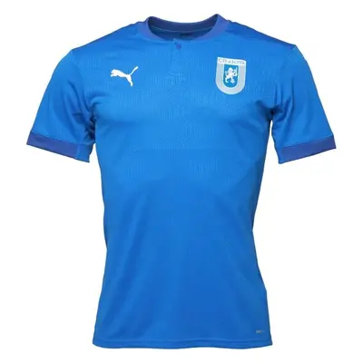 Puma TEAMFINAL GRAPHIC JERSEY Férfi sportpóló, kék, méret