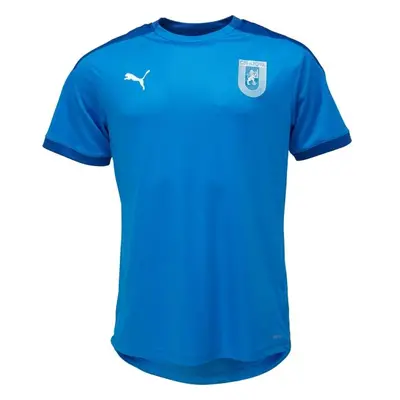 Puma TEAM FINAL TRAINING JERSEY Férfi edzőpóló, kék, méret