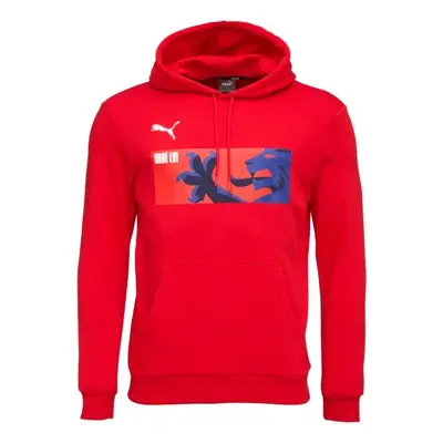 Puma TEAMGOAL CAUSALS HOODY Férfi pulóver focihoz, piros, méret