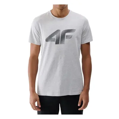 4F TSHIRT Férfi póló, szürke, méret