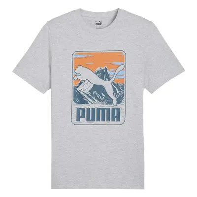 Puma GRAPHIC MOUNTAIN TEE Férfi póló, szürke, méret