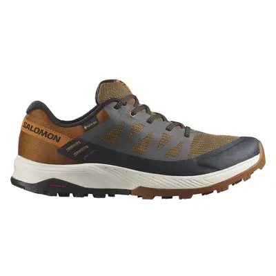 Salomon OUTRISE GTX Férfi túracipő, narancssárga, méret