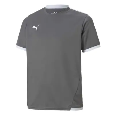 Puma TEAM LIGA JERSEY JR Férfi futballpóló, szürke, méret