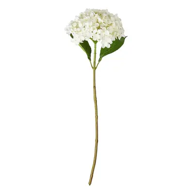 FLORISTA hortenzia, fehér 63 cm