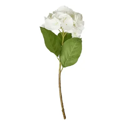 FLORISTA hortenzia, fehér 62 cm