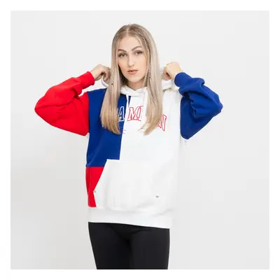 Champion Hooded Sweatshirt