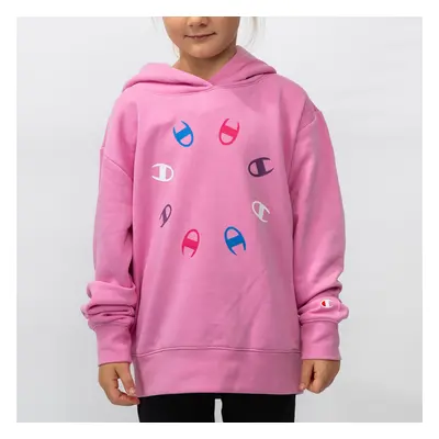 Champion Hooded Sweatshirt