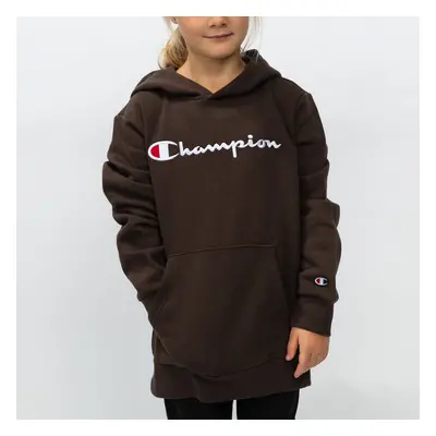 Champion Hooded Sweatshirt