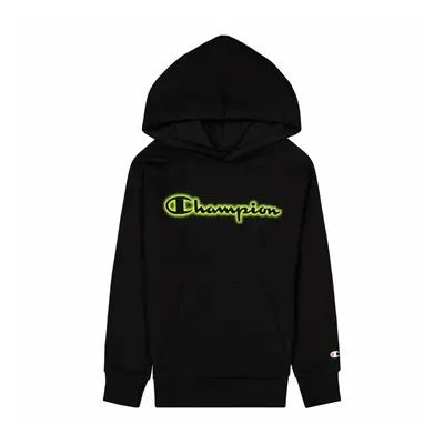 Champion Hooded Sweatshirt