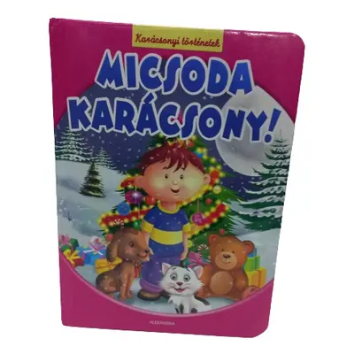 Karácsonyi történetek - Micsoda karácsony!