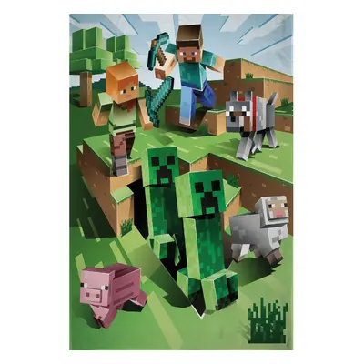 Minecraft Cave Attack polár takaró 100x150cm