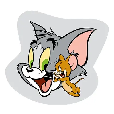 Tom és Jerry formapárna, díszpárna 32*32 cm