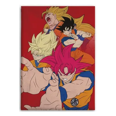 Dragon Ball Hues of Power coral fleece takaró 110x150cm