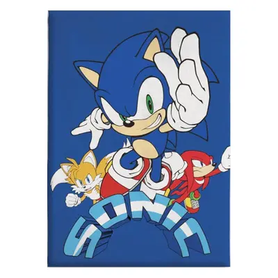 Sonic a sündisznó Coin Chase polár takaró 100x140cm