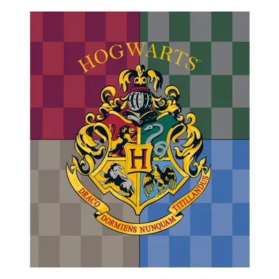 Harry Potter Hogwarts coral fleece polár takaró 120x150cm