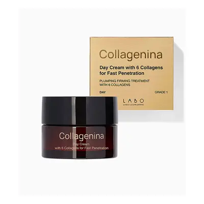 COLLAGENINA nappali arckrém Grade 1 (50ml)