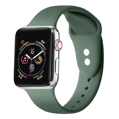 Apple Watch 4-6, SE, SE (2022) (42 / 44 mm) / Watch 7-9 (45 mm) / Watch Ultra 1-2 (49 mm), szili