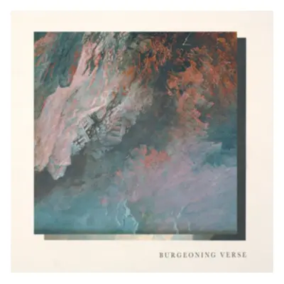 "Burgeoning Verse" ("Ben Chisholm & Felix Skinner") (Vinyl / 12" Album)