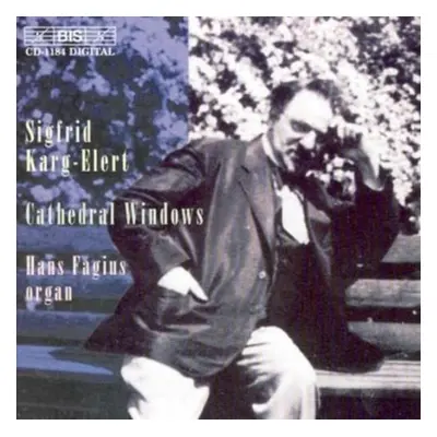 "Cathedral Windows (Organ Music Vol 2 , Fagius)" ("") (CD / Album)