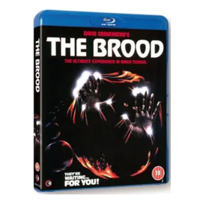 "Brood" ("David Cronenberg") (Blu-ray)