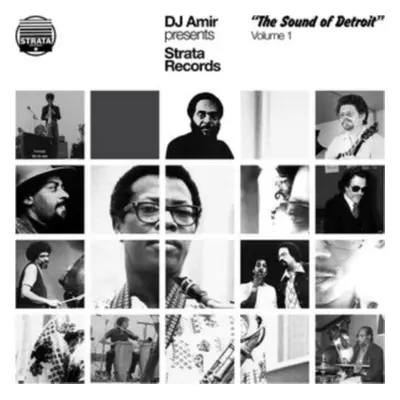 "DJ Amir Presents Strata Records" ("") (Vinyl / 12" Album)