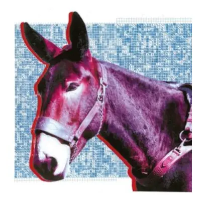 "Ultimate Success Today" ("Protomartyr") (CD / Album)