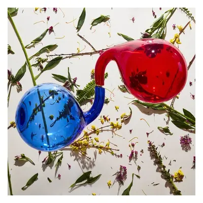 "Lamp Lit Prose" ("Dirty Projectors") (Vinyl / 12" Album)