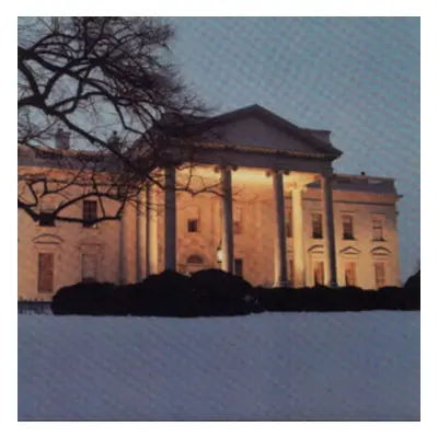 "The White House" ("The Dead C") (Vinyl / 12" Album)