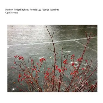 "Opalescence" ("Norbert Rodenkirchen/Robbie Lee/James Ilgenfritz") (Vinyl / 12" Album)