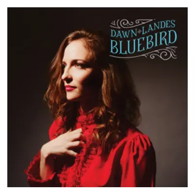 "Bluebird" ("Dawn Landes") (Vinyl / 12" Album)