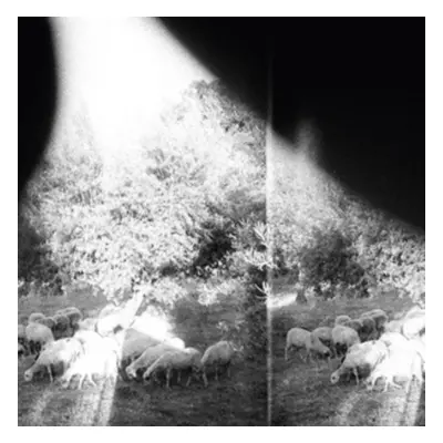 "Asunder, Sweet and Other Distress" ("Godspeed You! Black Emperor") (CD / Album)