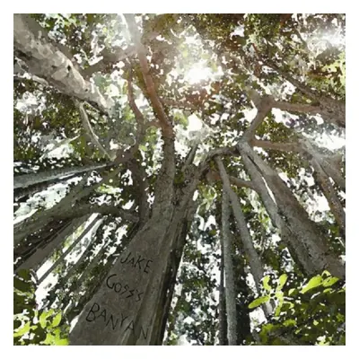 "Looking Up" ("Jake Goss's Banyan") (CD / Album)